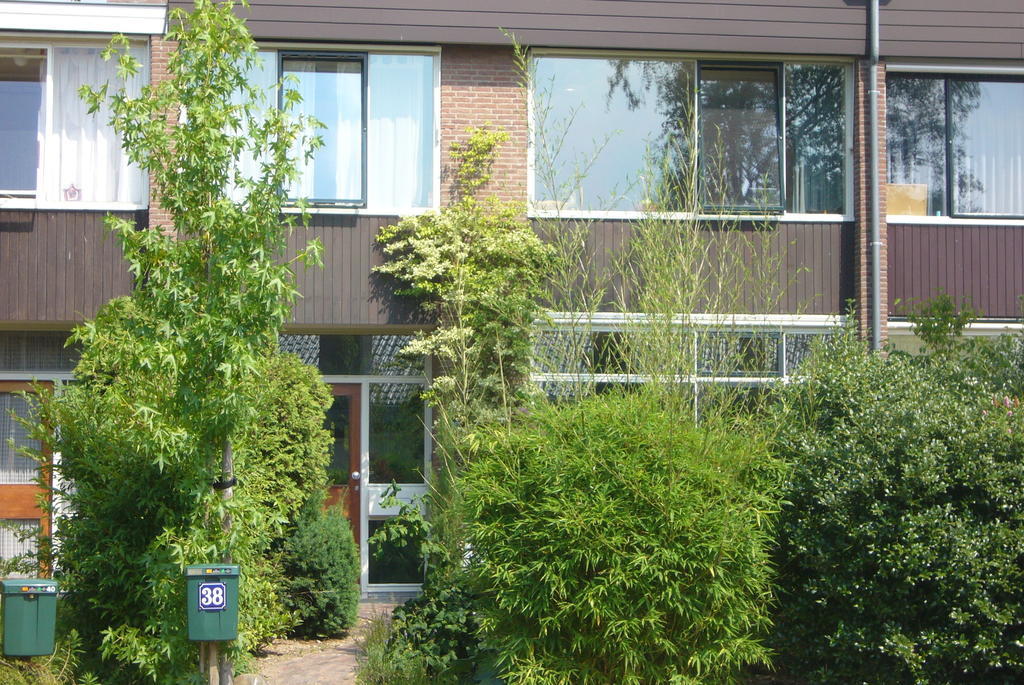 B&B Heijendaal Nijmegen Rum bild